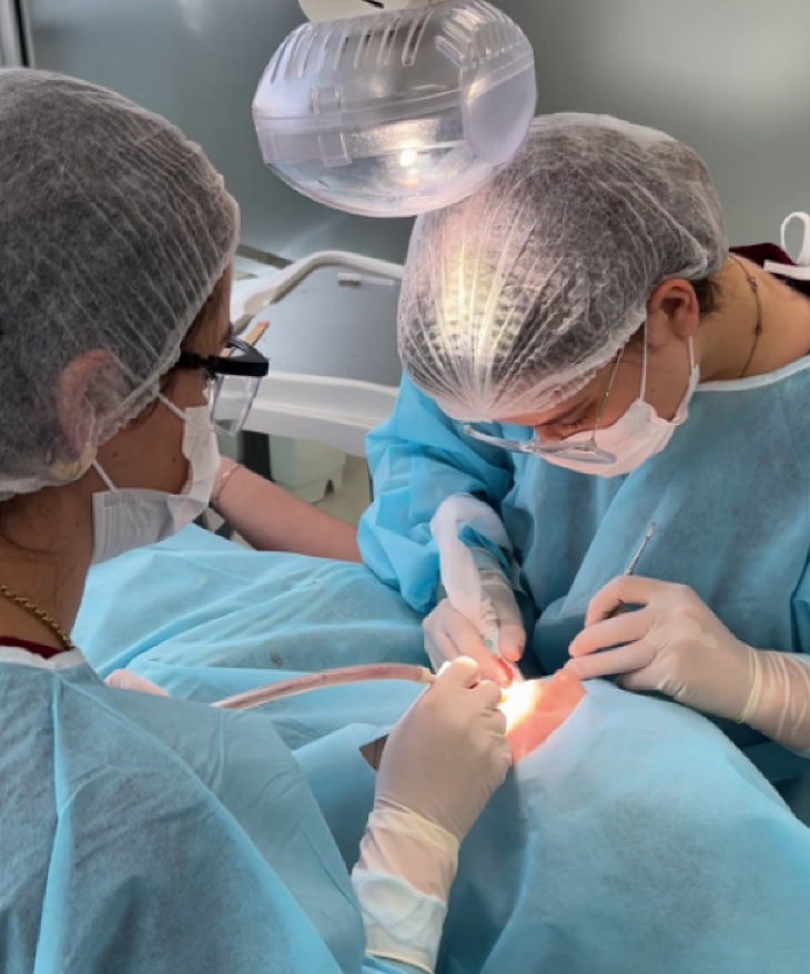 Campo Real realiza mutirão de cirurgias odontológicas e atende pacientes do SUS em Guarapuava