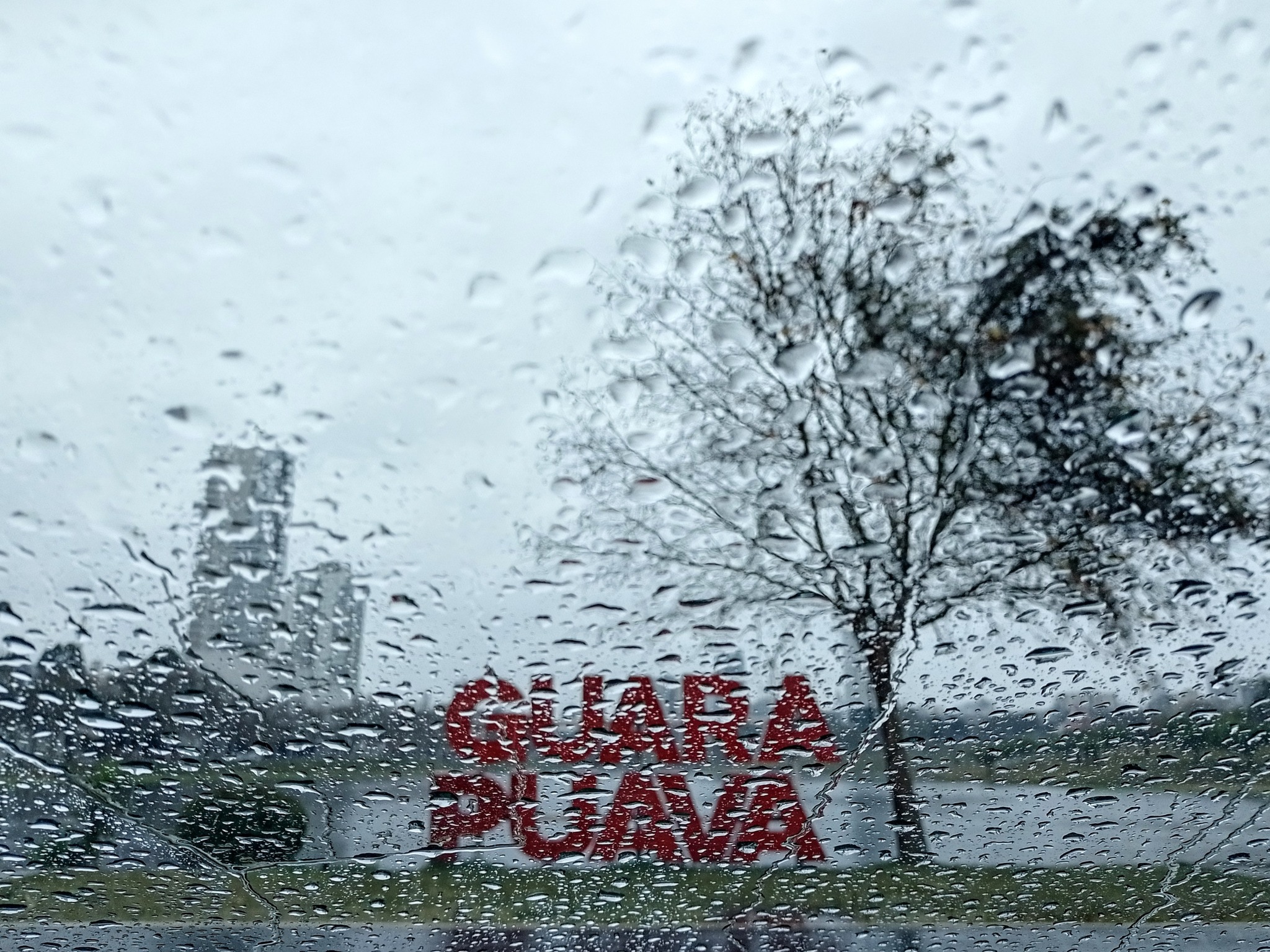 Vento, chuva e queda nas temperaturas: frente fria começa a atravessar o Paraná: CONFIRA A PREVISÃO!
