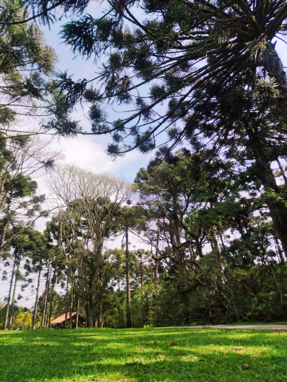 Parque das Araucárias tem novo horário de funcionamento a partir desta quarta (22)
