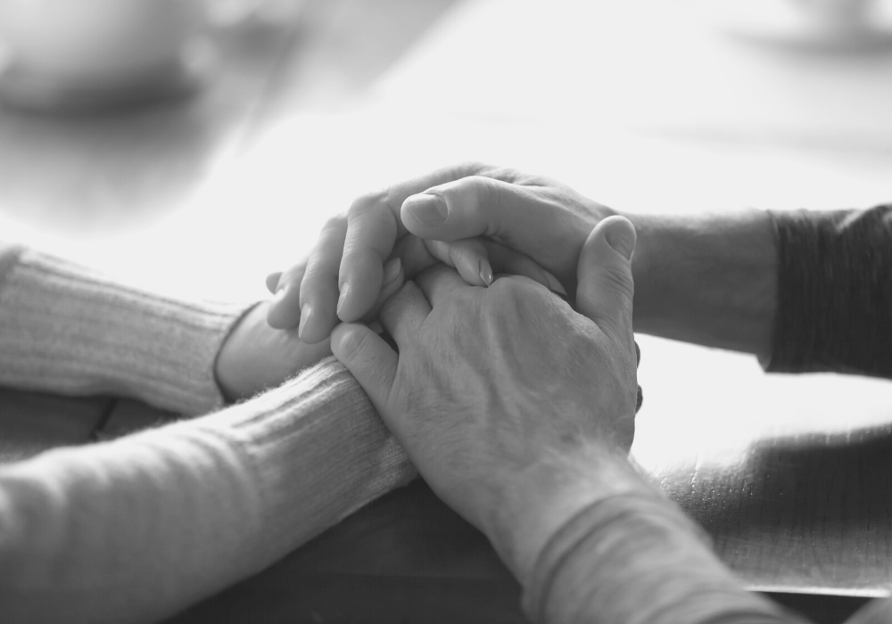 Óbitos de hoje (6-segunda) registrados na Central de Triagem em Guarapuava