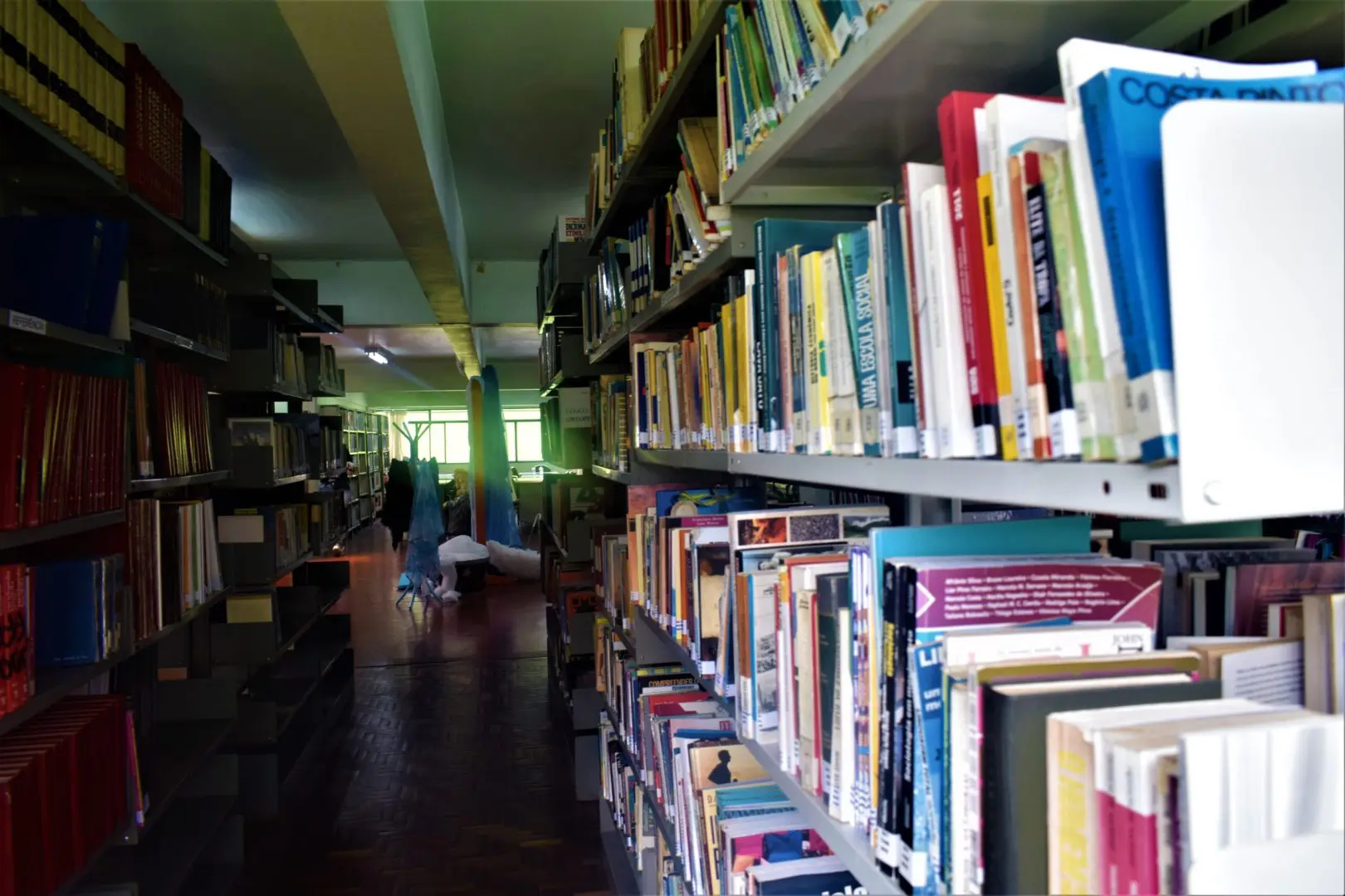 Incentivo à leitura ganha destaque no Dia Nacional do Livro Infantil em Guarapuava